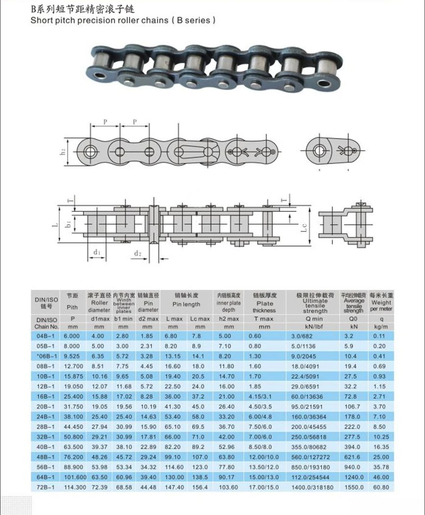 B-Short pitch precision roller chains(B series) 1